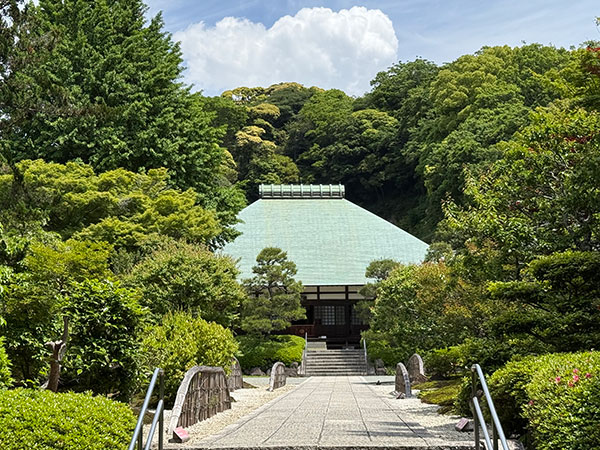 ホームページを開設しました
